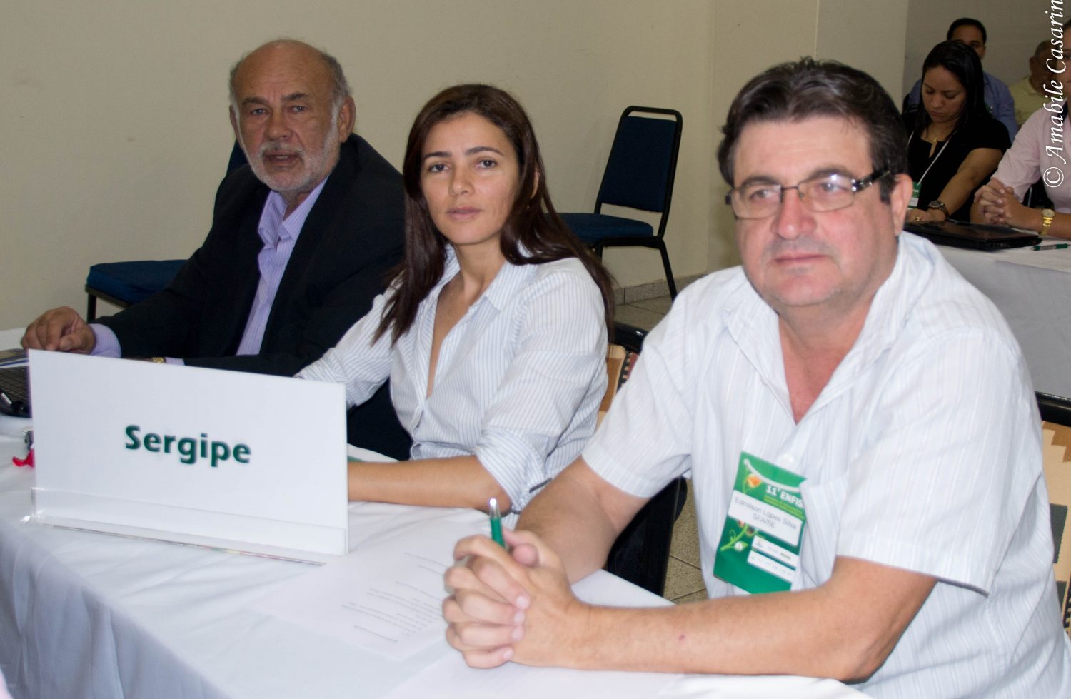 Crea-SE representado no ENFISA 2013