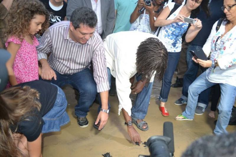 600 mil filhotes de tartaruga marinha já foram soltos em Sergipe