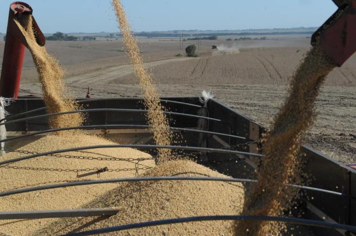 Conab estima produção de grãos em 191 milhões de toneladas na safra 2013/2014