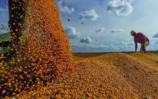 Programa incentiva redução de agrotóxicos