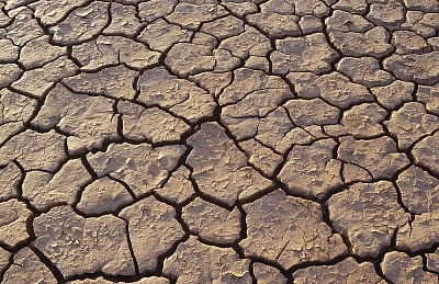 Sergipe será referência no enfrentamento à desertificação em Programa da ONU