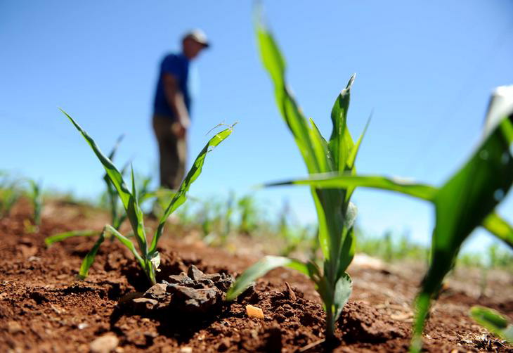 Acesso ao crédito rural precisa ser mais rápido e fácil