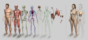 anatomia-humana-01