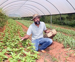 Mercado de orgânicos está em plena expansão para quem pensa em empreender no País