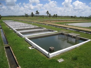Centros Integrados de Recursos Pesqueiros e Aquicultura da Codevasf em Sergipe esteve entre as obras vistoriadas Divulgação/ Codevasf