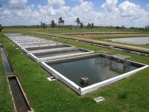 Centros Integrados de Recursos Pesqueiros e Aquicultura da Codevasf em Sergipe esteve entre as obras vistoriadas Divulgação/ Codevasf 