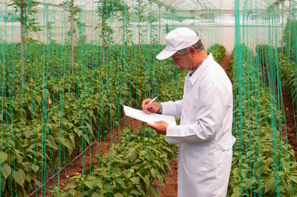 O mercado de trabalho para os engenheiros ambientais