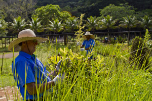 Engenheiro ambiental07