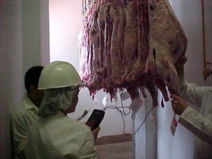 o zootecnista contribui cada vez mais para garantir a segurança alimentar