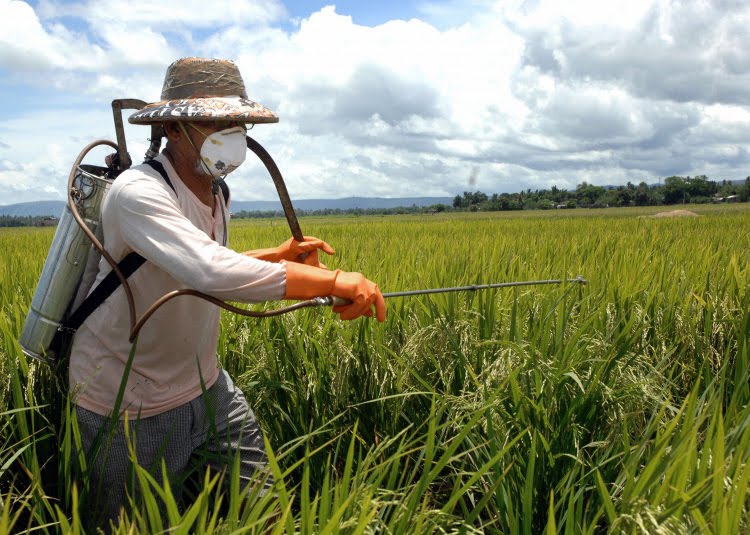 ENFISA 2015 : Crea-SE participa de debates sobre uso de agrotóxicos e falsificação de defensivos