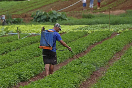 Governo Federal lança Programa Nacional de Redução do Uso de Agrotóxicos