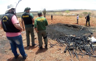 Produção de carvão vegetal clandestina é encontrada pela FPI em Canindé do São Francisco