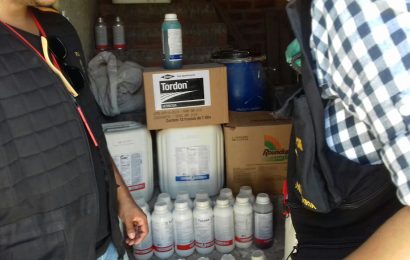 Mais de 13 mil litros de agrotóxicos vendidos irregularmente em Nª Sra. de Lourdes são apreendidos