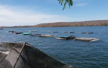 Equipe Aquática da FPI/SE flagra piscicultura irregular nas águas do Velho Chico