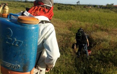 FPI: Crea-SE apreende agrotóxicos e autua profissional responsável pela venda do produto sem receita