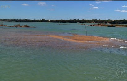 Foz do Rio São Francisco está em estado crítico