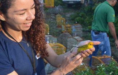 FPI devolve 555 animais à natureza na primeira semana de fiscalização
