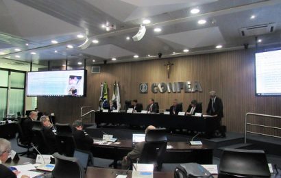 Presidente destaca ação parlamentar ao plenário e à Confaeab