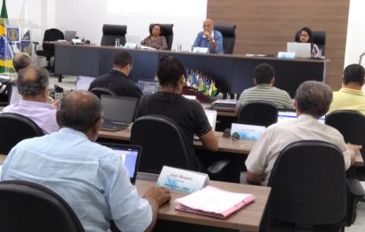 Sessão plenária destaca realização do CEP-SE no dia 25 de julho