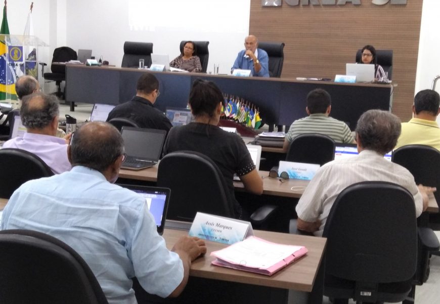 Sessão plenária destaca realização do CEP-SE no dia 25 de julho