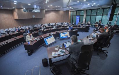 Plenário define plano de ação 2021 para coordenadorias de câmaras