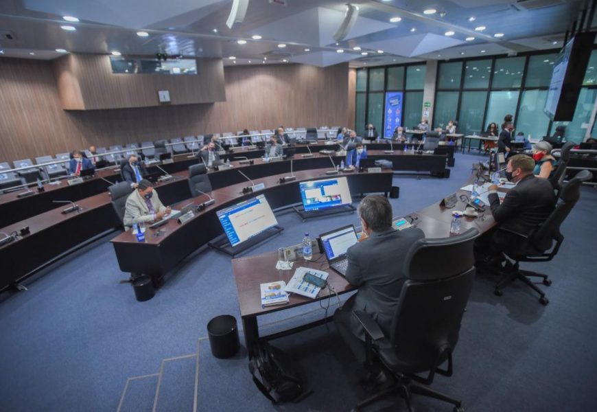 Plenário define plano de ação 2021 para coordenadorias de câmaras