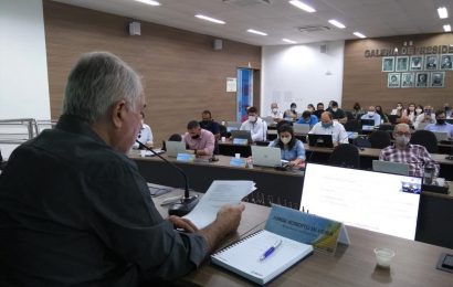 Crea-SE realiza segunda Sessão Plenária de 2021