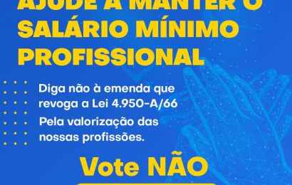 Lei do Salário Mínimo Profissional