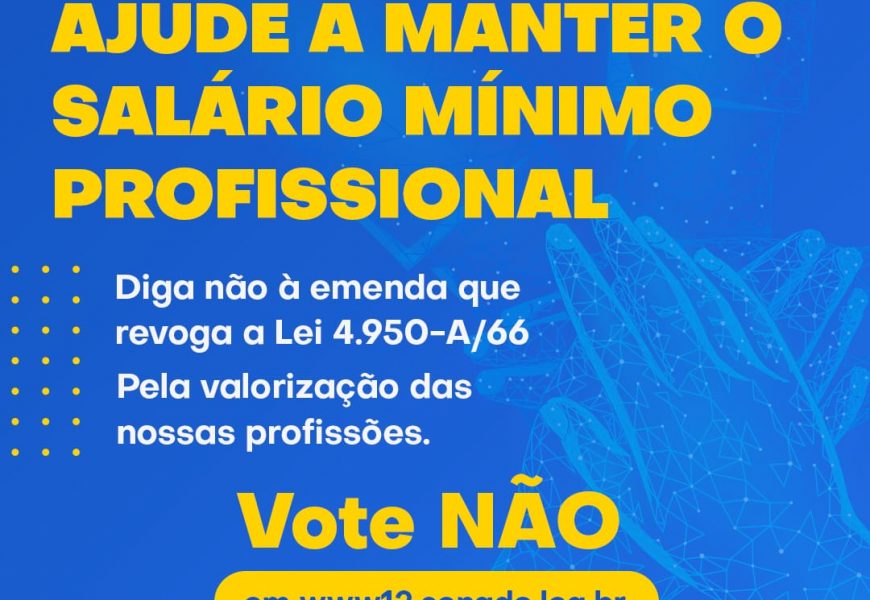 Lei do Salário Mínimo Profissional