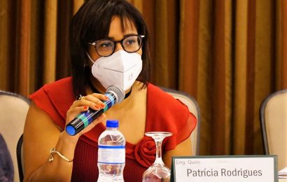 Conselheira do Crea-SE propõe mais engajamento dos Regionais na CCEEQ