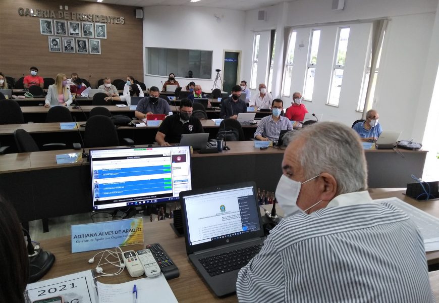 Conselheiros aprovam a renovação do terço do plenário do Crea-SE para 2022