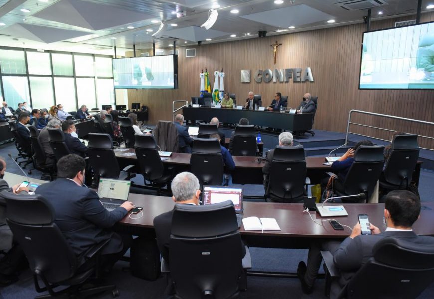 2º ENAPAR: Crea-SE discute propostas e contribui para elaboração de plano de trabalho
