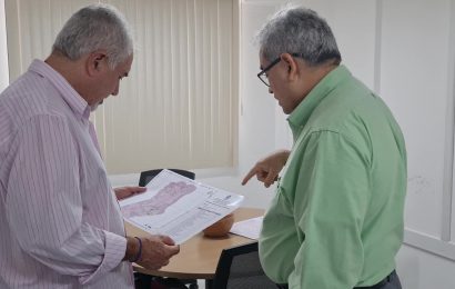 Arborização de Aracaju pauta reunião entre Crea-SE e Sema