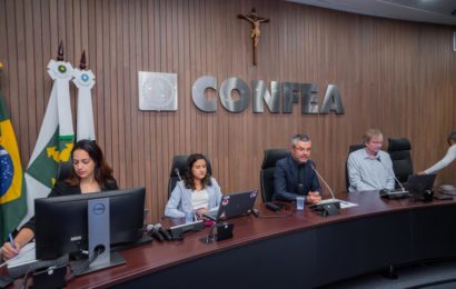 Eleição-Conselheiro Federal: Chapa 01 é eleita com 46,47 % dos votos válidos