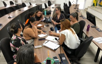 Comitê Gestor do Programa Mulher do Crea-SE inicia suas atividades para o ano de 2024