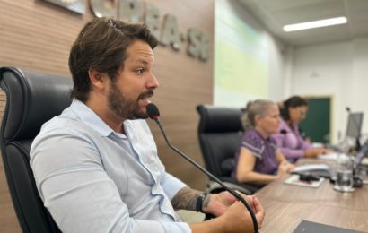 Responsabilidade sobre projeto de incêndio e atuação em projetos de portos, aeroportos e vias navegáveis são pautas em reunião da CEEC