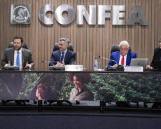 Trabalho estratégico do Confea no CNE leva governo a extinguir cursos 100% EAD em Engenharia