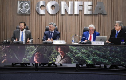Trabalho estratégico do Confea no CNE leva governo a extinguir cursos 100% EAD em Engenharia